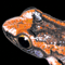 Thumbnail Image of Frog
