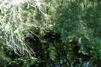 Little Manatee River Watershed